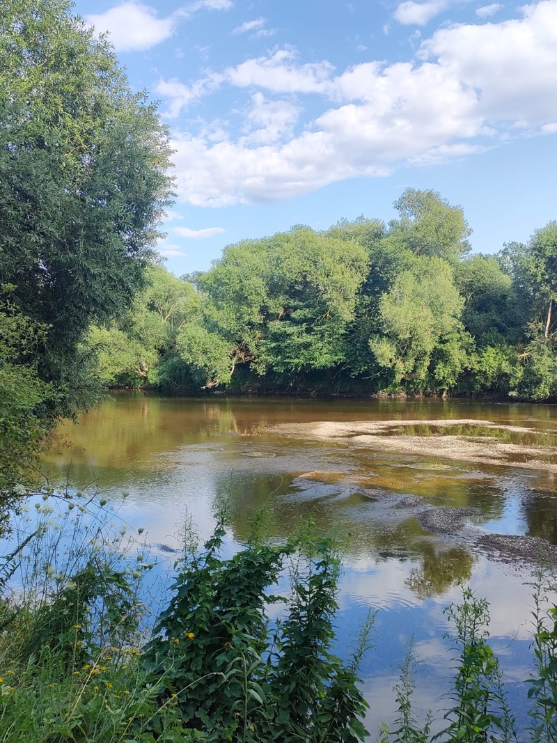 Muldeaue Muldeaue mit Fluss Mulde